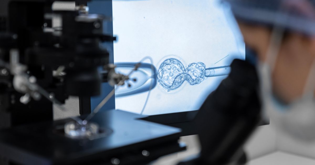 neplodnosť u mužov a žien - liečba metódou ICSI